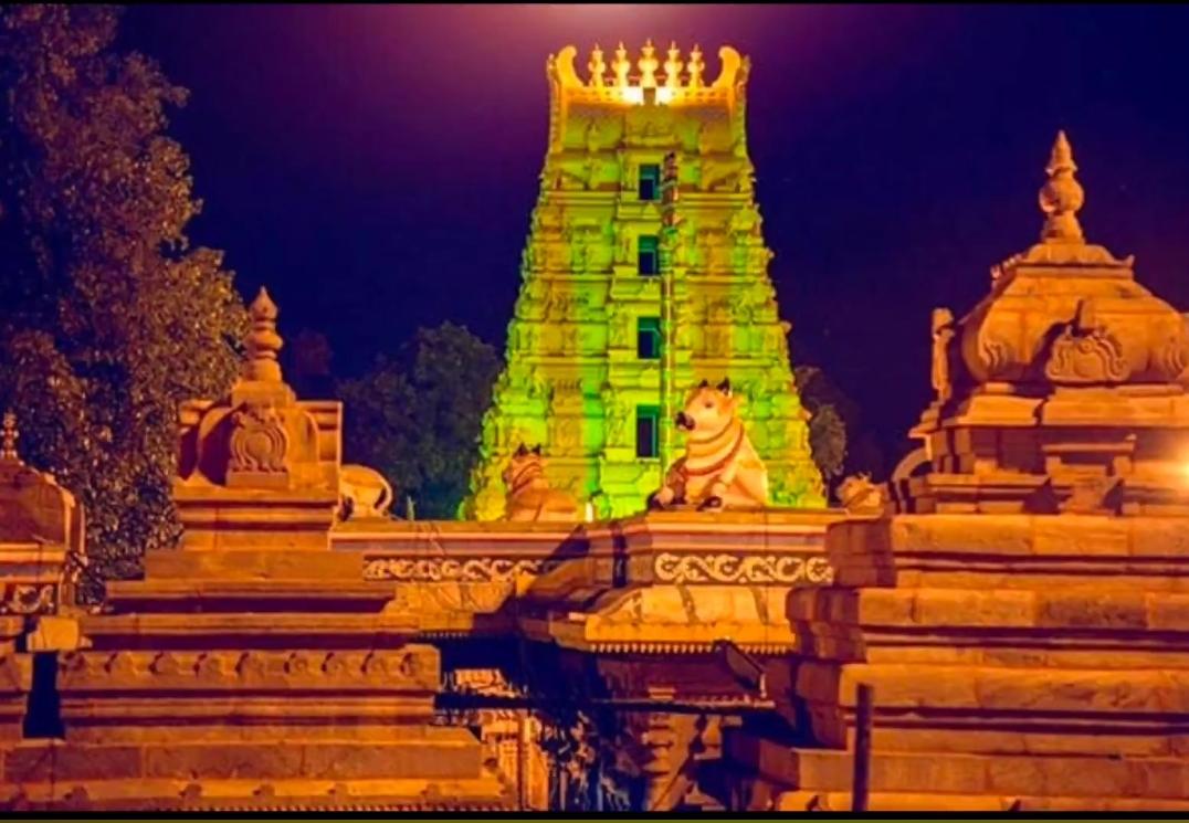 About Vasavi Hotel